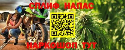 сатива Малгобек