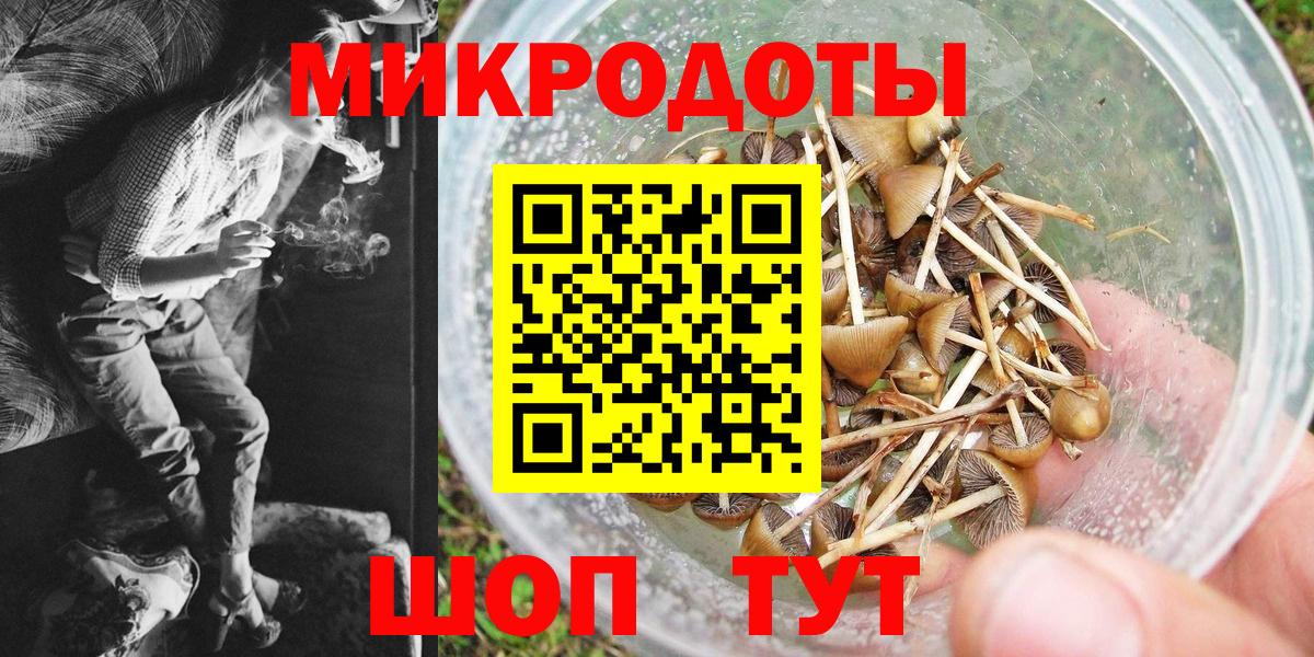 Псилоцибиновые грибы мицелий  наркошоп  Шали  Вход с VPN 