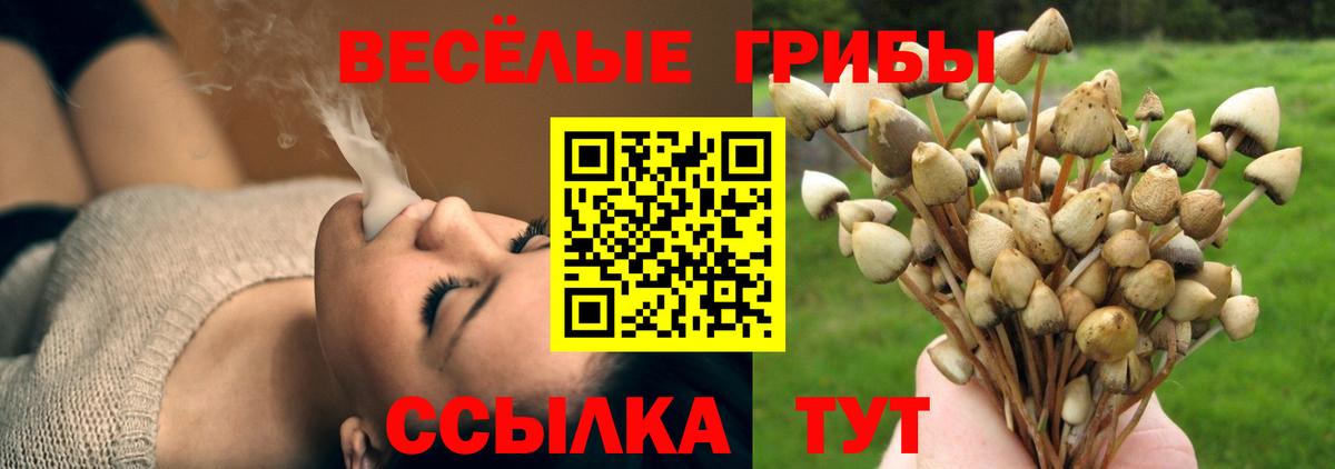Галлюциногенные грибы GOLDEN TEACHER Шали